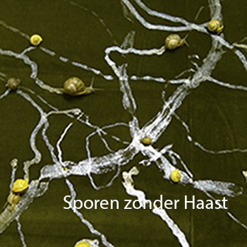 sporen zonder haast