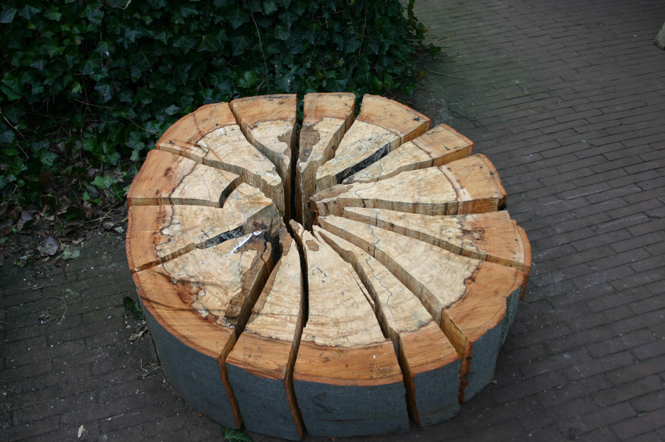 foto verval beuk