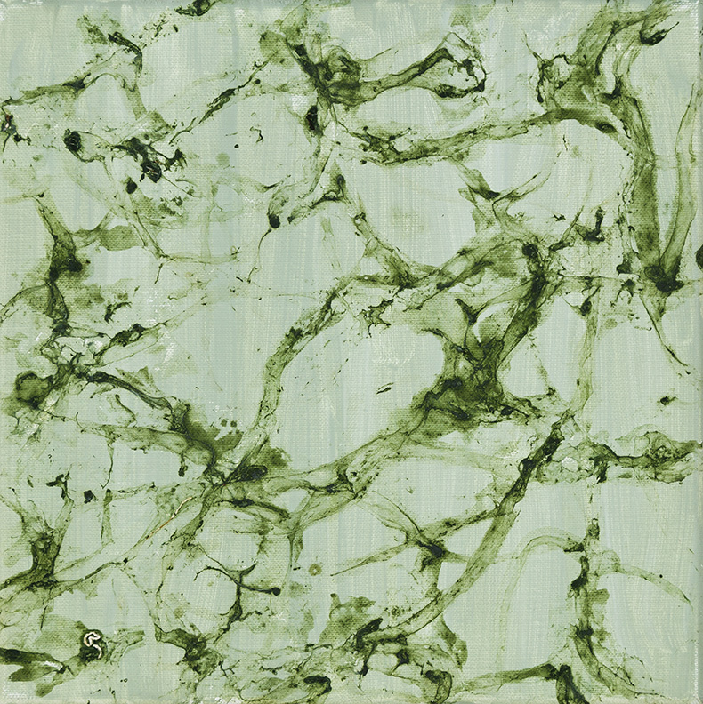 groene slakkensporen, 30 x 30 cm