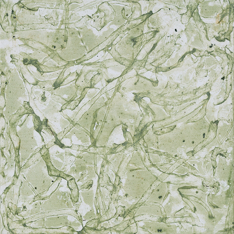 lichtgroene slakkensporen, 30 x 30 cm